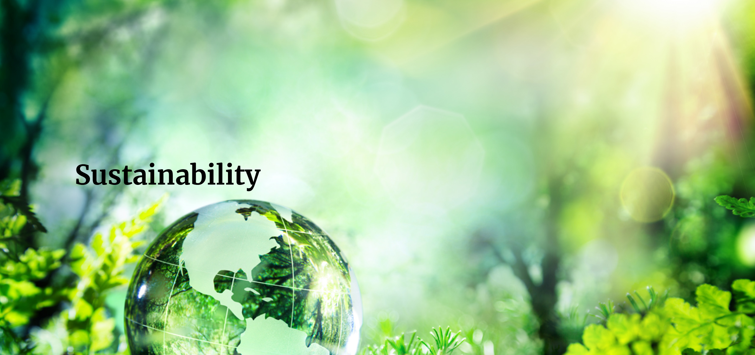 Sustainability