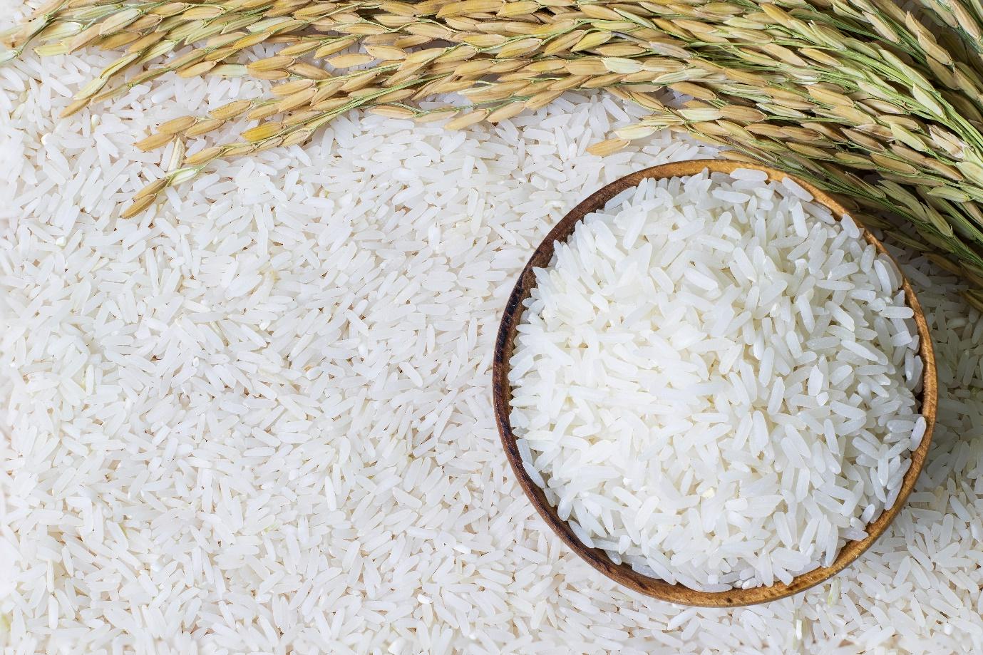 Fortified Rice Kernel Premix