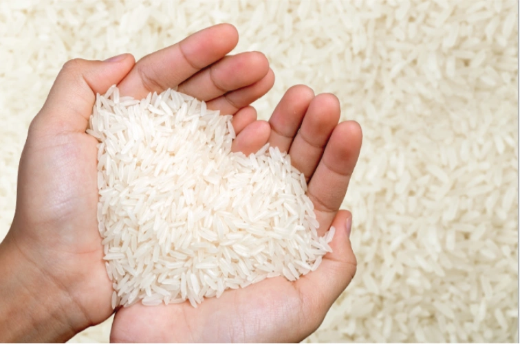 Fortified Rice Kernel