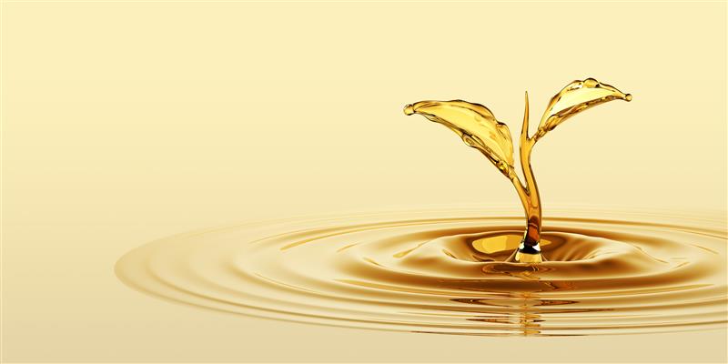Vitamin AD2 for oil fortification